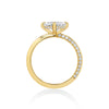 Switch pavé Knife edge Solitaire