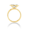 Lizzie Mandler Engagment